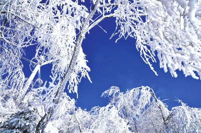 定西通渭縣首屆“華嶺霧凇冰雪節(jié)”開(kāi)幕