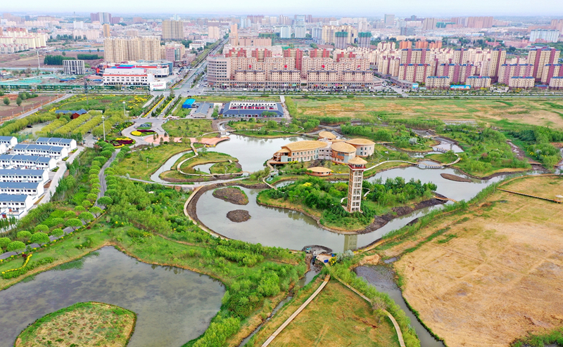 【飛閱甘肅】張掖國家濕地公園：湖光水色風(fēng)光美