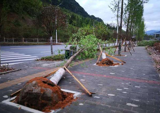 刮風(fēng)下雨加速新冠病毒傳播？別信！