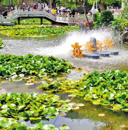 走，到五泉山公園看花展去