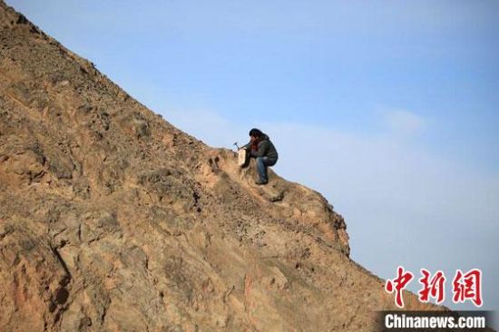圖為敦煌“80后”畫家張杰龍在敦煌三危山里采集礦石顏料。(資料圖)受訪者供圖