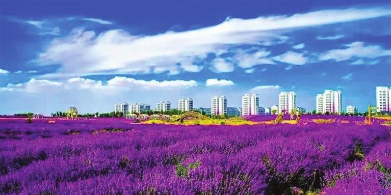 “三連冠”！金昌蟬聯(lián)全國文明城市