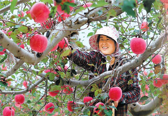 為特色“隴貨”打開資本市場(chǎng)的大門——鄭州商品交易所服務(wù)甘肅農(nóng)特產(chǎn)品發(fā)展綜述