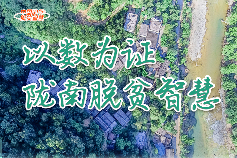 【中國的脫貧智慧】以數(shù)為證！隴南脫貧智慧來了！