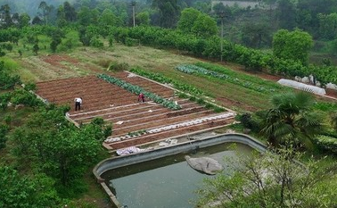 甘肅省加快推動(dòng)家庭農(nóng)場(chǎng)數(shù)量質(zhì)量雙提升