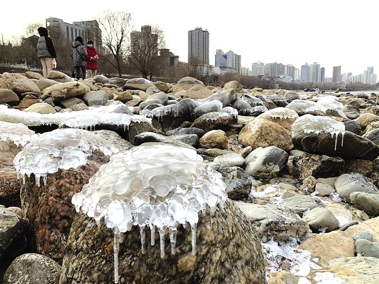 蘭州：水母上河灘？