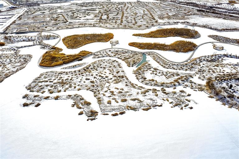 張掖國(guó)家濕地公園雪景如畫(huà)