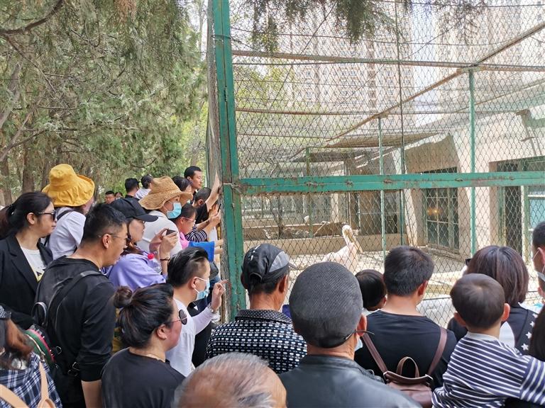 【蘭州市動物園搬遷】守護者訴說不了情