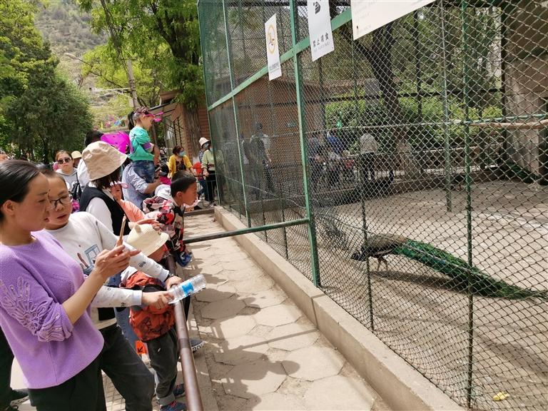 【蘭州動物園搬遷】那些年上山找快樂