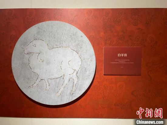圖為展覽現(xiàn)場(chǎng)?！〗瓧顭?攝