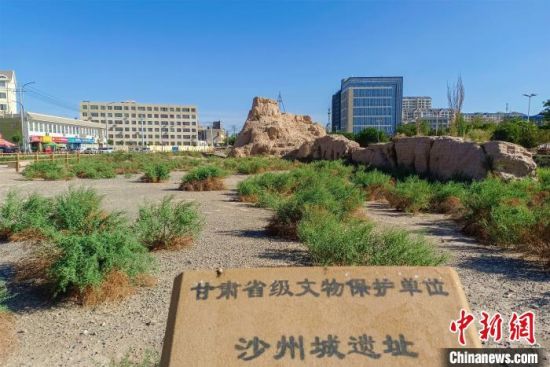 圖為沙州郡城遺址公園古遺址?！⊥醣筱y 攝