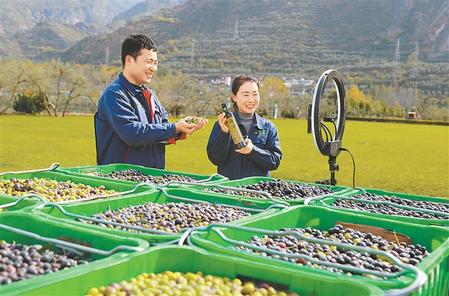 隴南市武都區(qū)祥宇油橄欖公司橄欖油直播銷售全國各地