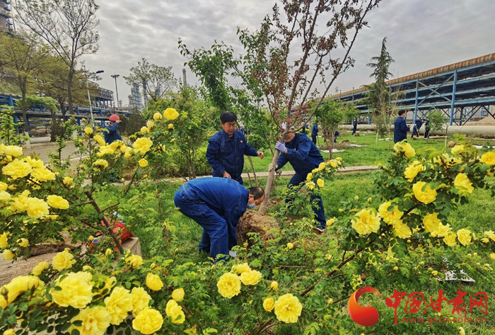 蘭州市推進低氮改造持續(xù)改善空氣質(zhì)量