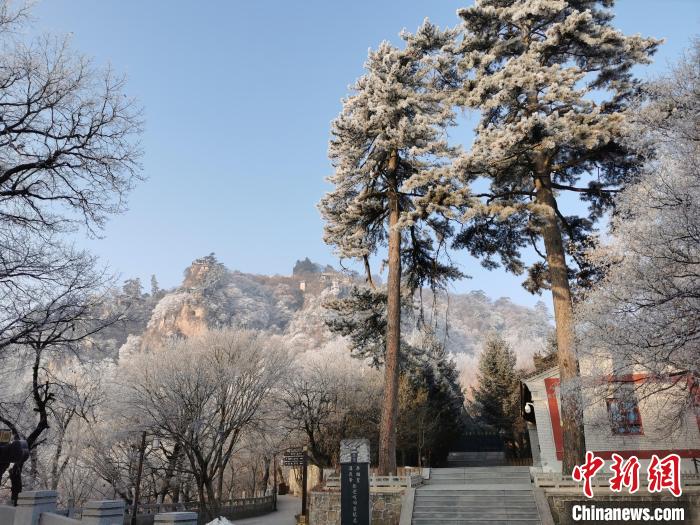 圖為崆峒山霧凇景色美不勝收?！⌒煺袢A 攝