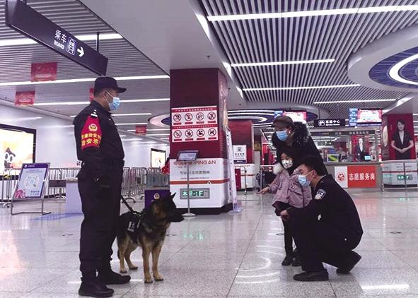 【新春走基層】警犬“梨花”和它的黎明老爸