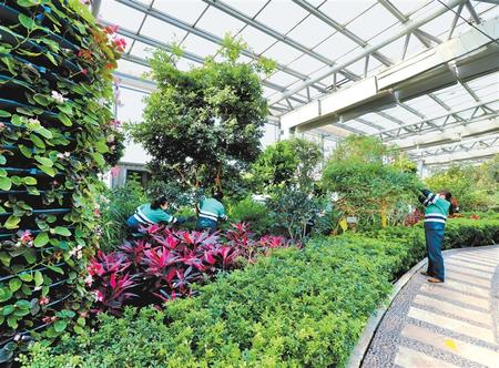 金川植物園園林工人正在修剪花草