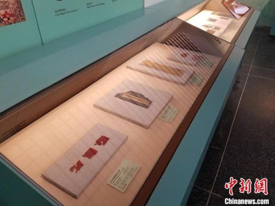 圖為展覽現(xiàn)場?！《鼗脱芯吭汗﹫D