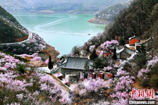 甘肅平?jīng)鍪惺侵袊鴥?yōu)秀旅游城市。圖為平?jīng)鲠轻忌较率锾一ㄊ㈤_。(資料圖) 平?jīng)鍪形麄鞑抗﹫D