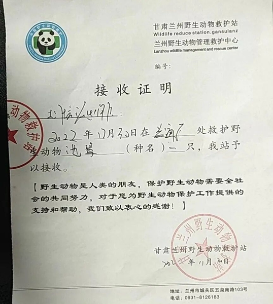 受到救助的池鷺被蘭州野生動物保護(hù)站接收。（蘭州市公安局七里河分局供圖）