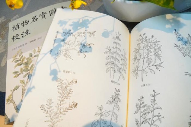 《植物名實圖考校注》內(nèi)頁。圖片來源：中華書局供圖