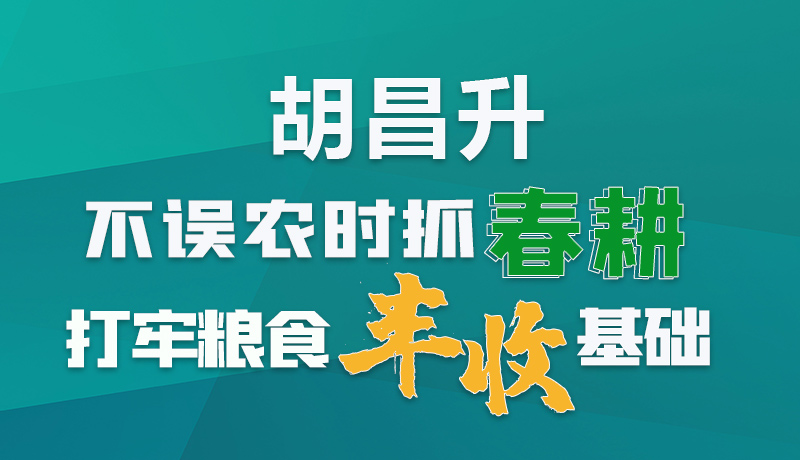 圖解|胡昌升：不誤農(nóng)時抓春耕打牢糧食豐收基礎