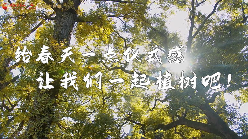 短視頻|給春天一點儀式感，讓我們一起植樹吧！