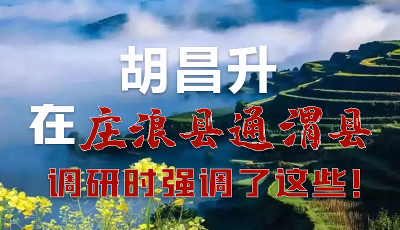 圖解|胡昌升在莊浪縣通渭縣調(diào)研時(shí)強(qiáng)調(diào)了這些！