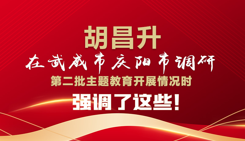 圖解|胡昌升在武威市慶陽市調(diào)研第二批主題教育開展情況時強調(diào)了這些！