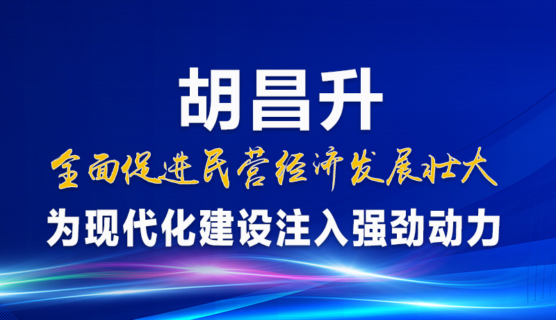 圖解|胡昌升：全面促進(jìn)民營經(jīng)濟(jì)發(fā)展壯大 為現(xiàn)代化建設(shè)注入強(qiáng)勁動(dòng)力