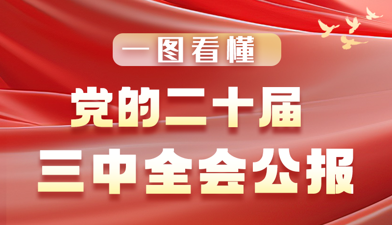 一圖看懂黨的二十屆三中全會(huì)公報(bào)