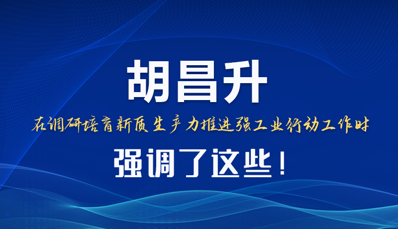 圖解|胡昌升在調(diào)研培育新質(zhì)生產(chǎn)力推進強工業(yè)行動工作時強調(diào)了這些！