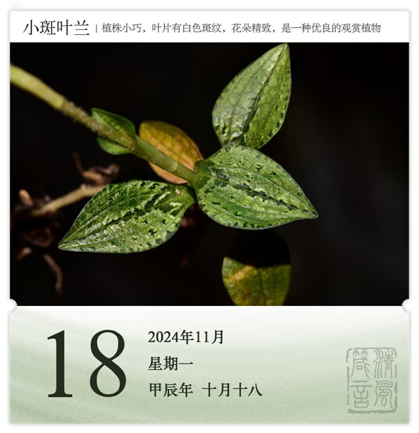 箴歷日歷11-18.png