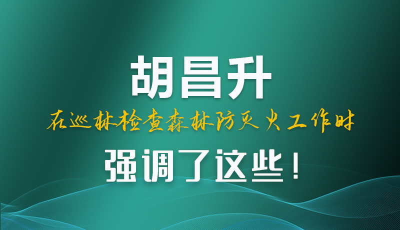 圖解|胡昌升在巡林檢查森林防滅火工作時(shí)強(qiáng)調(diào)了這些！