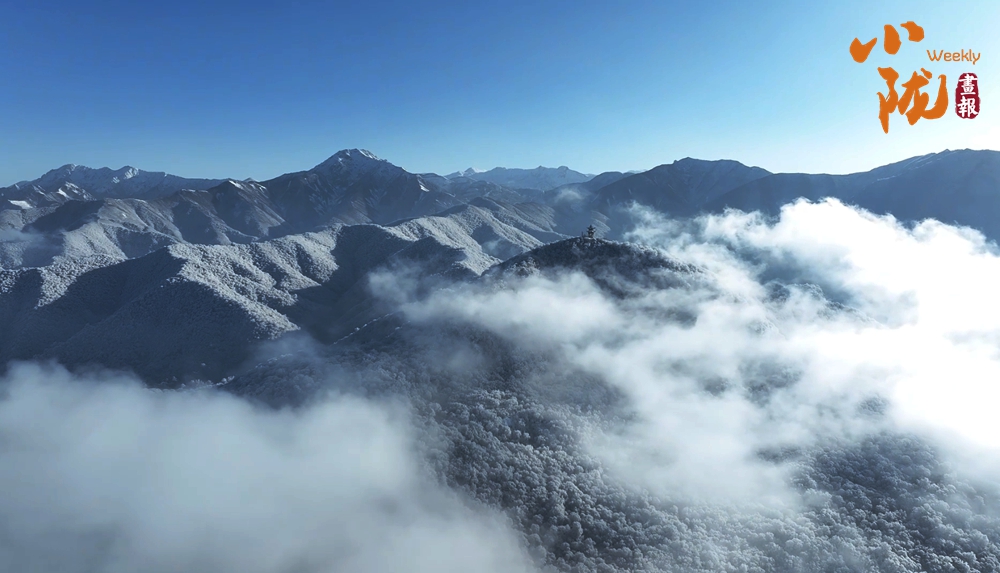 臨夏太子山：綠水青山雪后變林海雪原