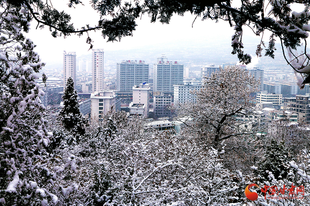 隴拍客|雪后禮縣 冬日畫卷悄然展開