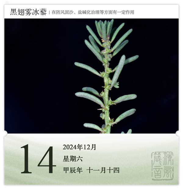 箴歷日歷12-14.png