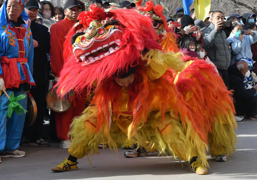 蘭州北獅表演現(xiàn)場(chǎng)。受訪者供圖