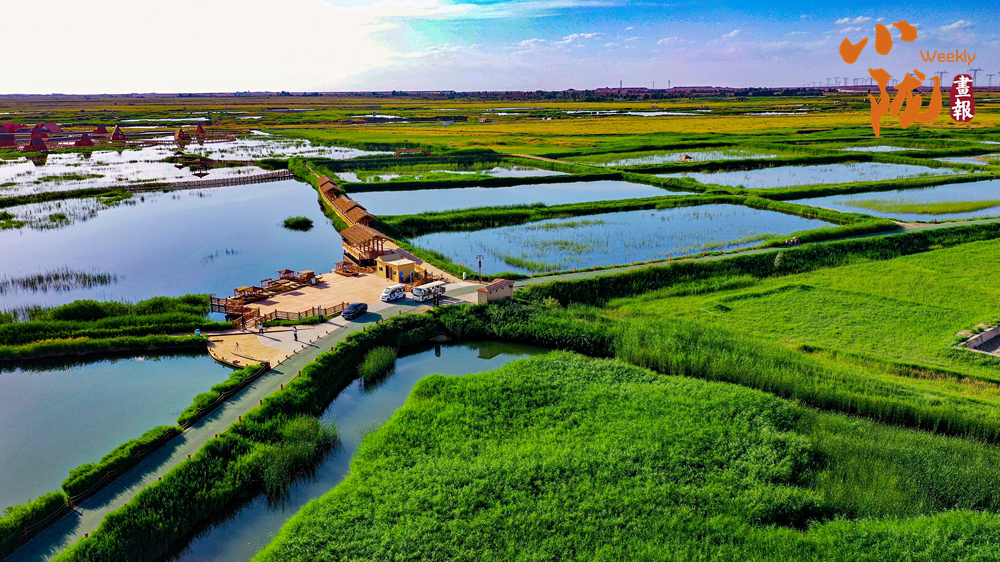 【小隴畫報(bào)】嘉峪關(guān)：草湖濕地公園 城市的“天然空調(diào)”